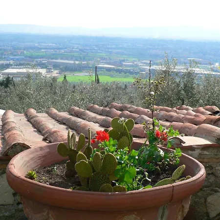 2 Bedrooms House With Shared Pool Jacuzzi And Furnished Terrace At